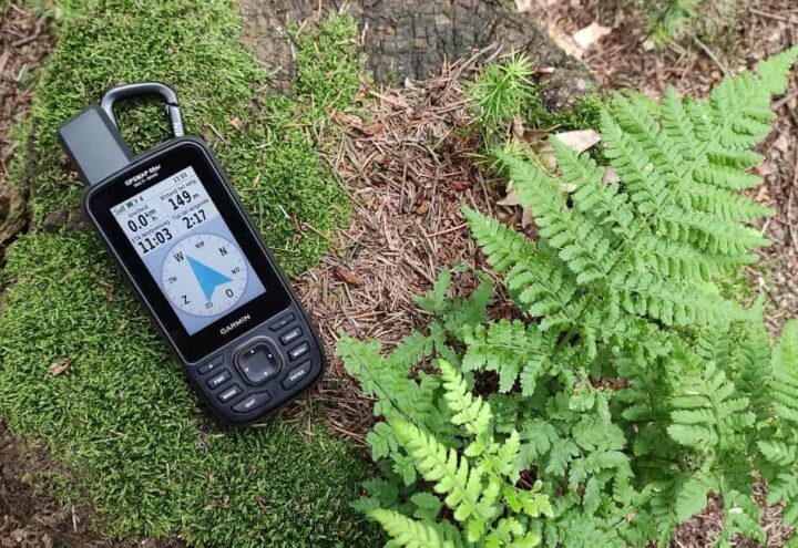 Garmin-handheld-gps op een met mos bedekte boomstronk naast een varen