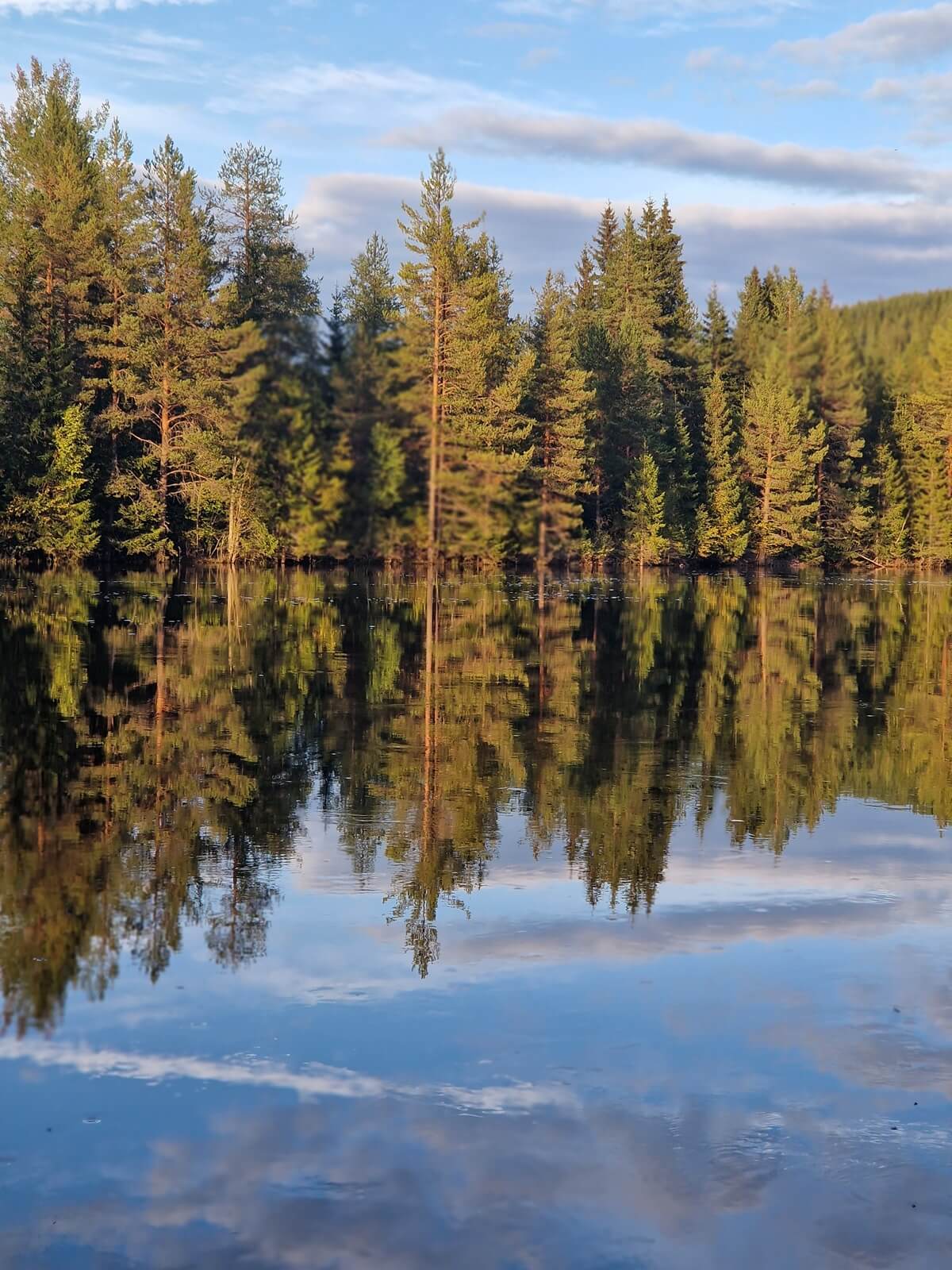 Over ons 10 dalarna-uitzicht