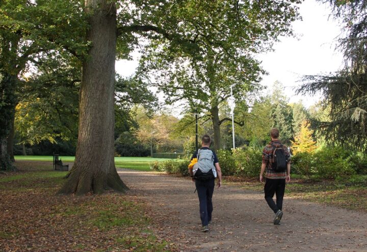 wandelconditie-opbouwen
