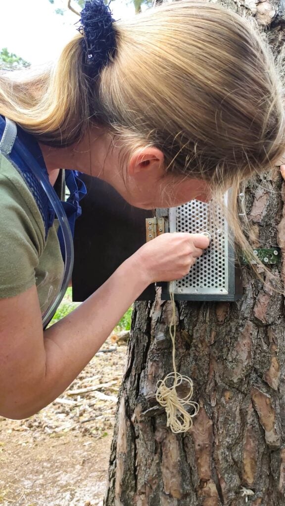 Geocaching-gadgets