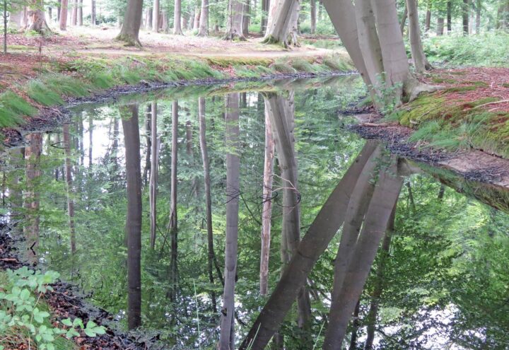 Wandelroute De Rabatten van Voorstonden