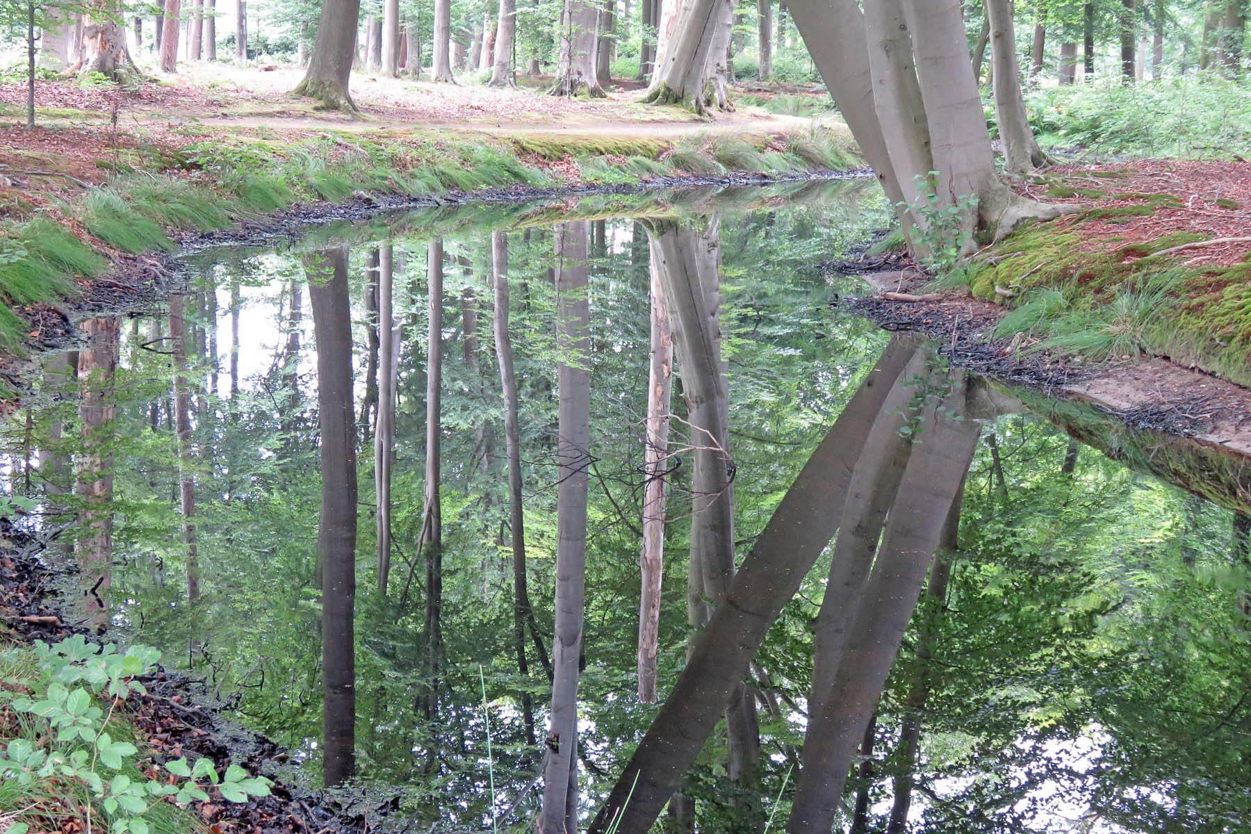 Wandelroute De Rabatten van Voorstonden 3