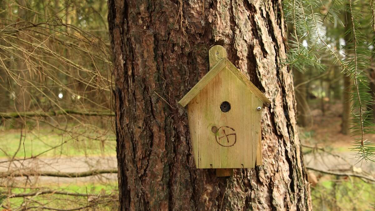 Geocaching in Noord-Brabant: Ontdek de prachtige natuur 1 cache geocaching