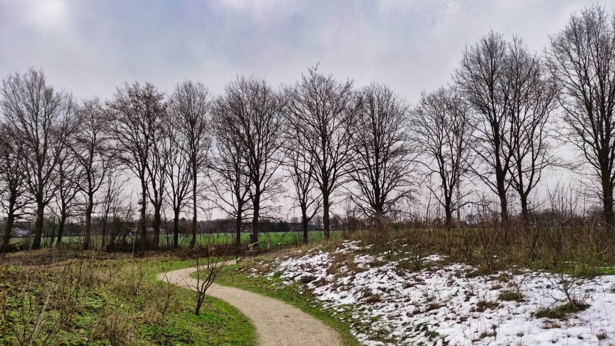 Geocaching in Noord-Brabant: Ontdek de prachtige natuur 2 docus de das pad