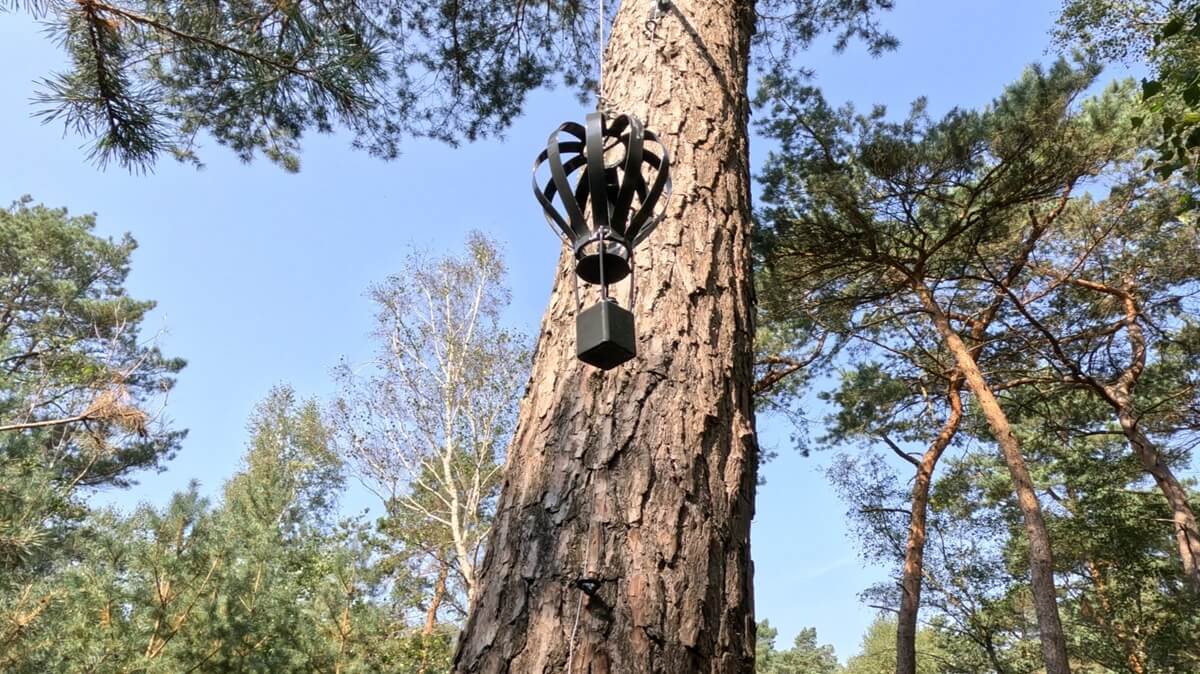 geocache hatseflats