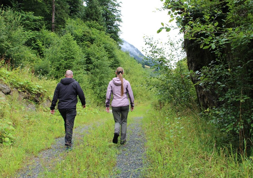 Beste wandeljas 2026: getest en eerlijk beoordeeld 1 helly-hansen-odin-lightweight-stretch-hooded-insulator-2-0-review-2