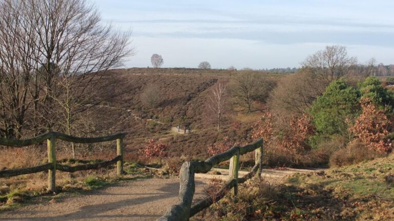 De mooiste wandelgebieden in Nederland
