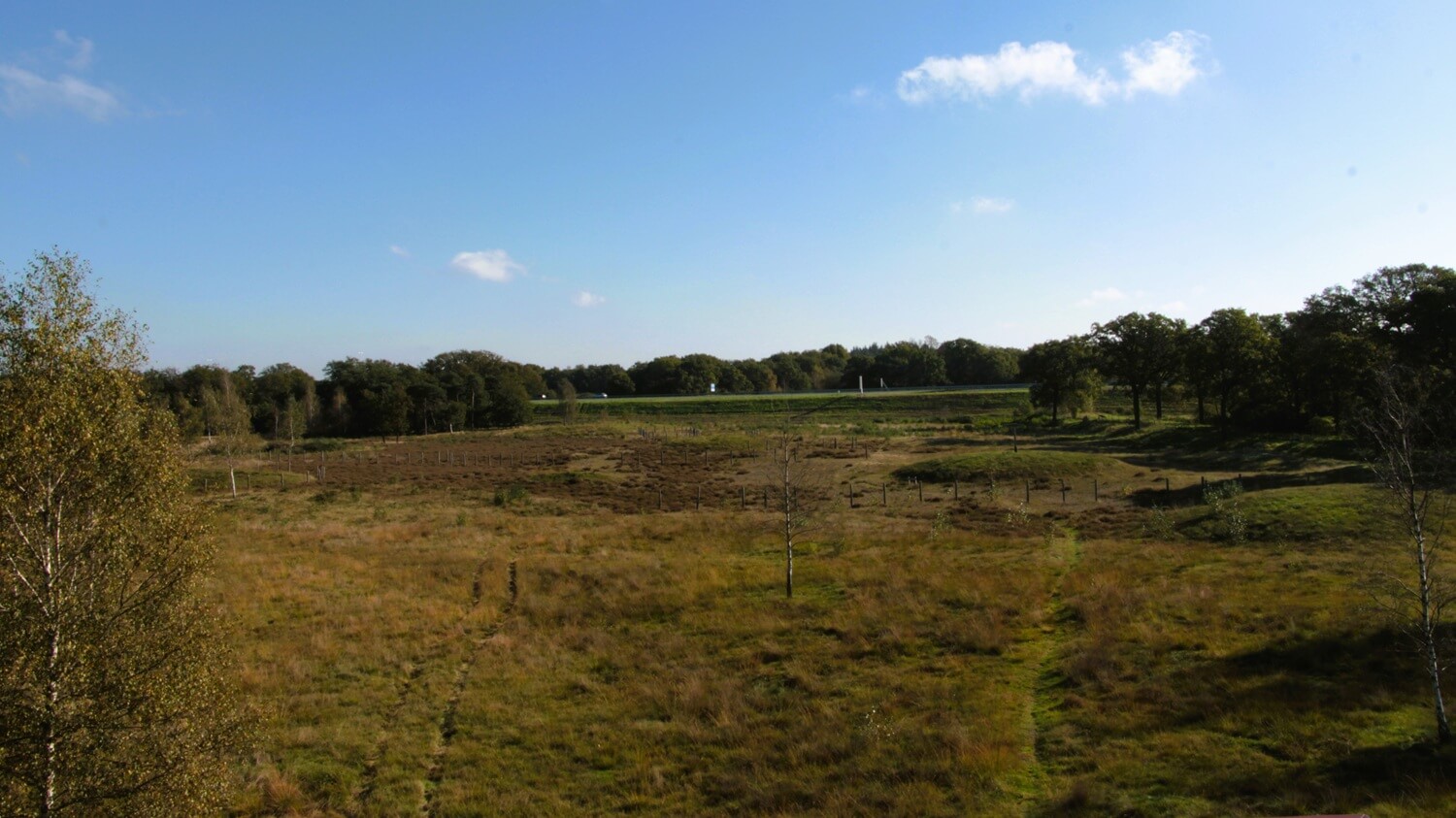 wandelen-in-de-maashorst1