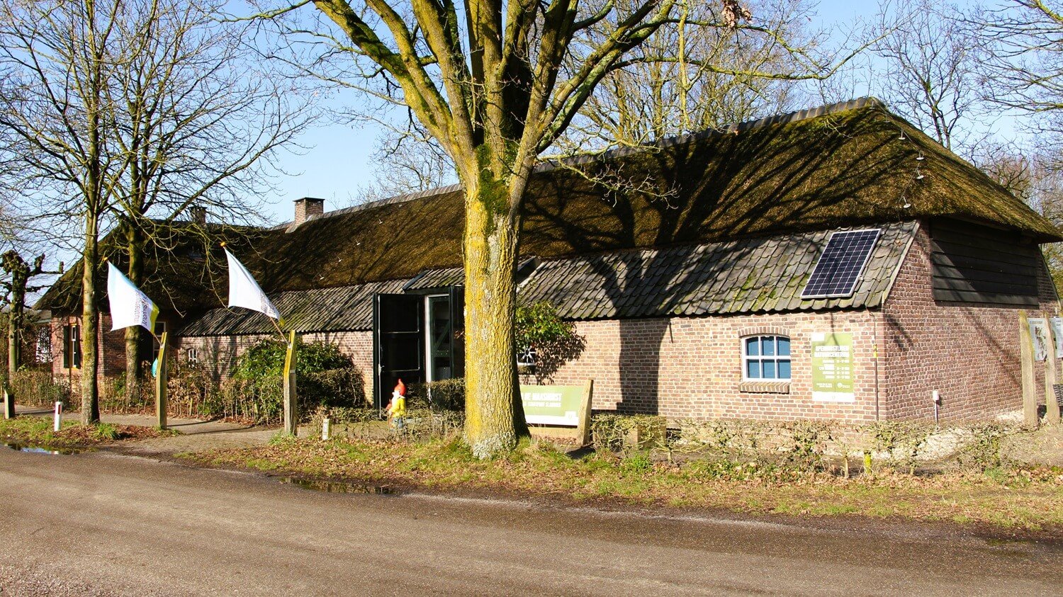 wandelen-in-de-maashorst3