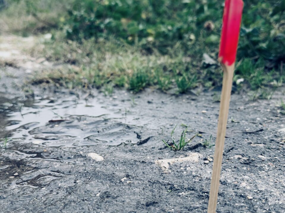 Mantracking 101: de 5 essentiële tekenen die elke wandelaar moet herkennen voor veiligheid 1 Modderig wandelpad met twee houten paaltjes met rode markering