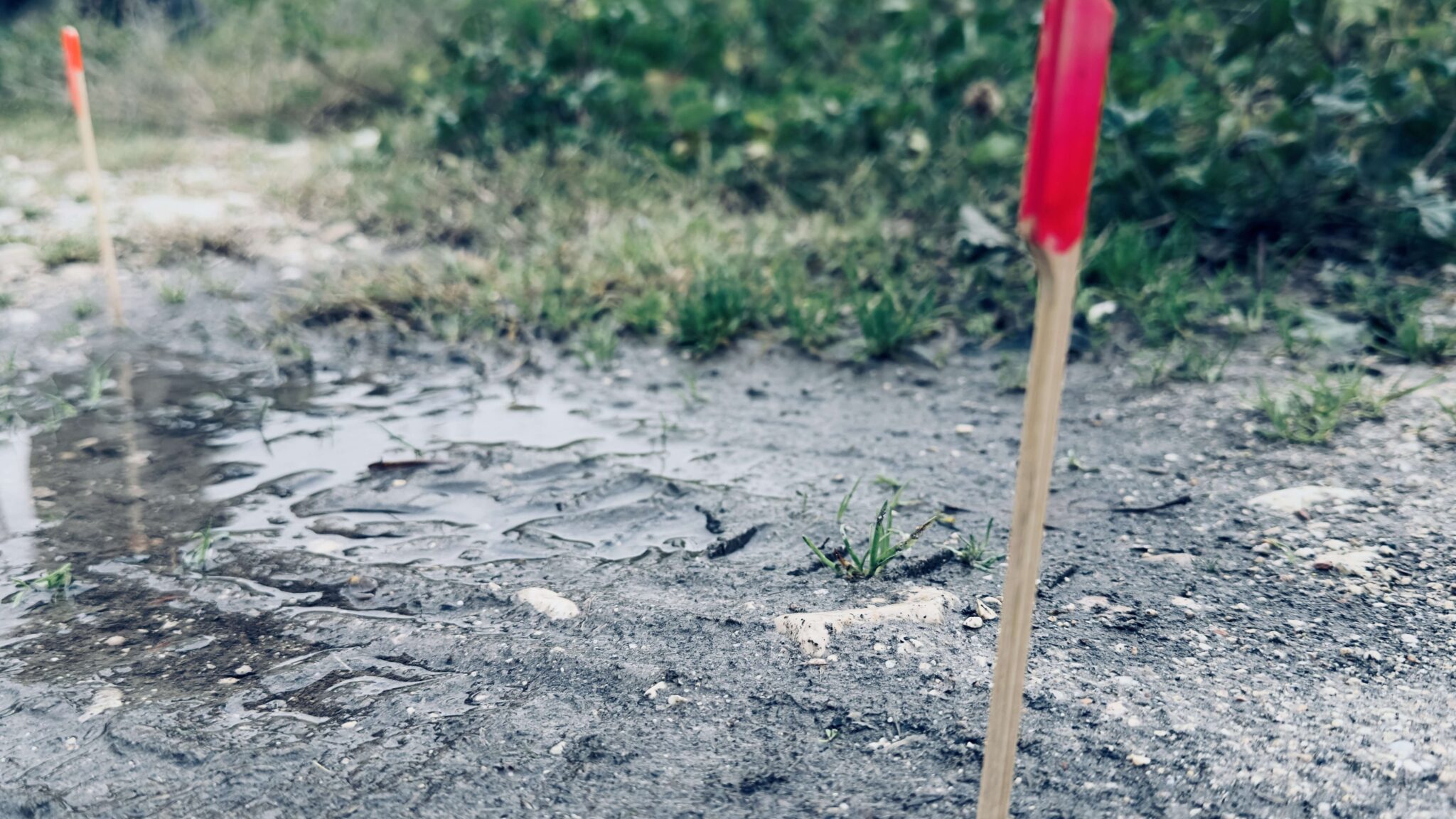 Mantracking 101: de 5 essentiële tekenen die elke wandelaar moet herkennen voor veiligheid