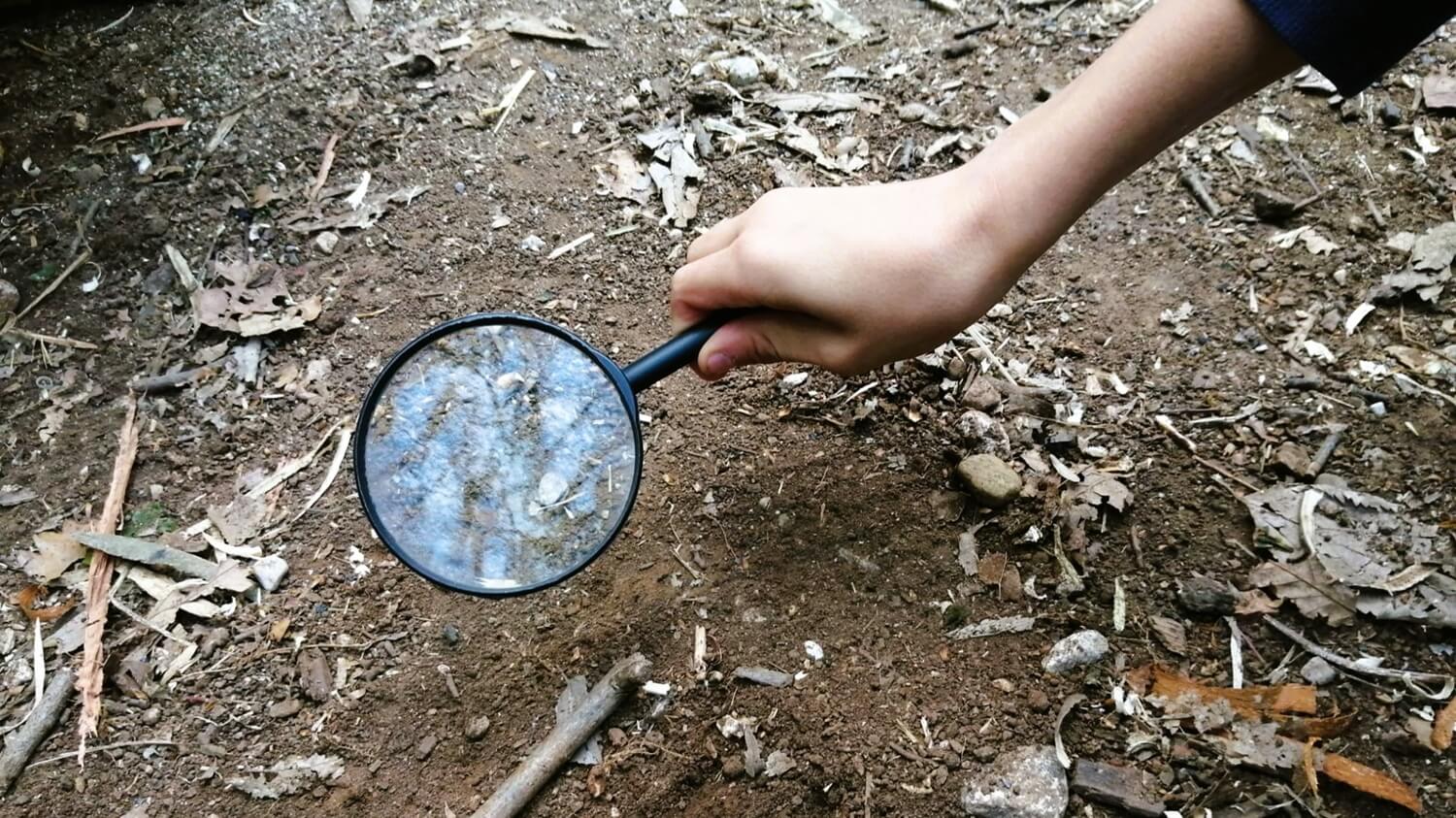 spoorzoeken-met-kinderen4