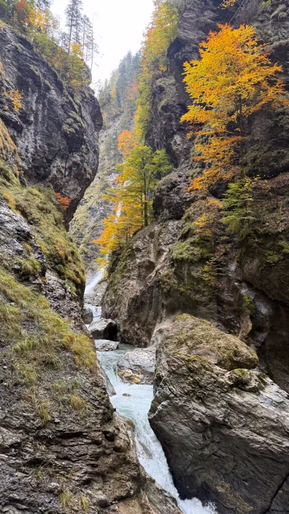 Liechtensteinklamm: Een adembenemende natuurervaring in Oostenrijk 18 IMG 6362