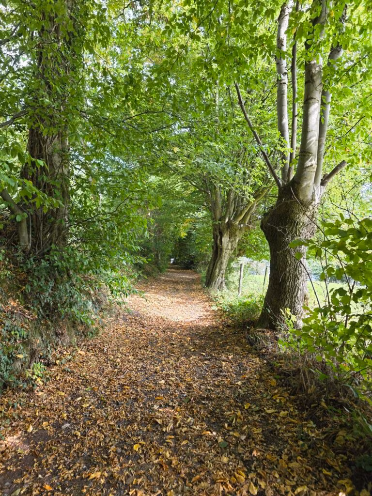 Solo de Dutch Mountain Trail: vier dagen door Limburg 26 dmt dag 2 4