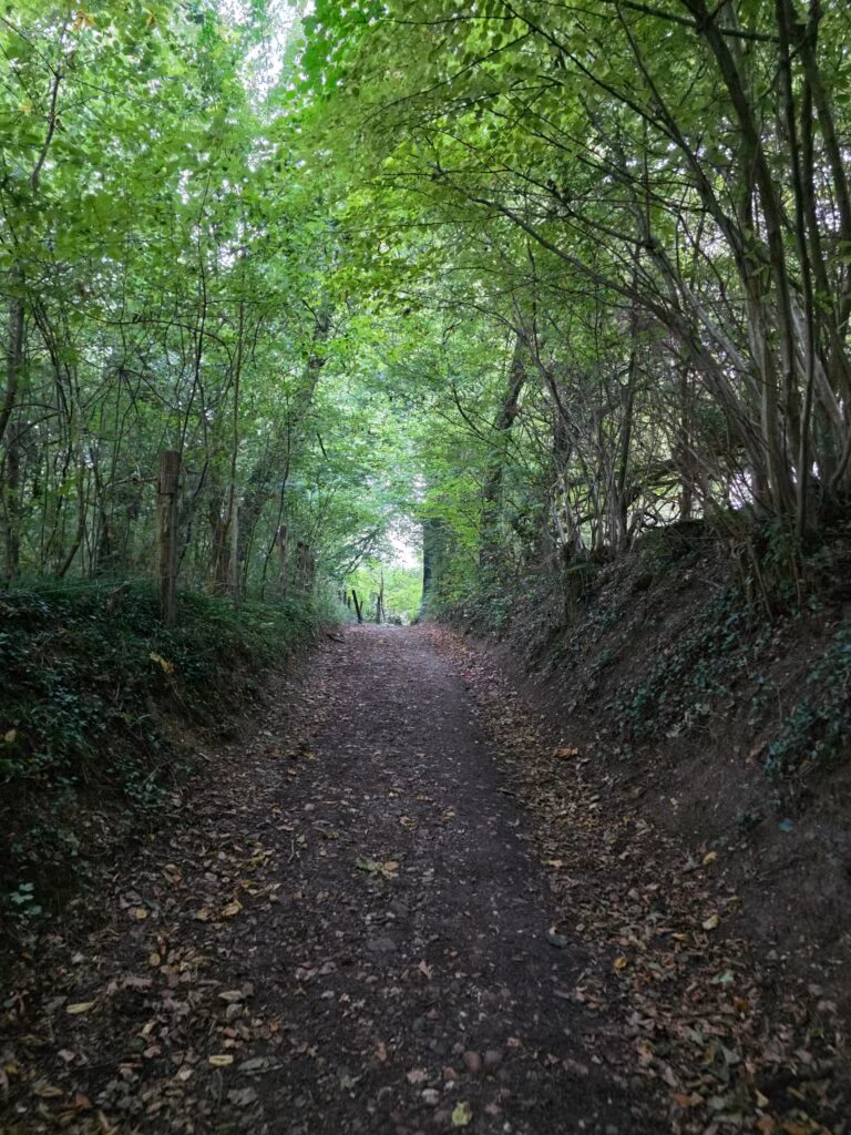 Solo de Dutch Mountain Trail: vier dagen door Limburg 34 dmt dag 3 1