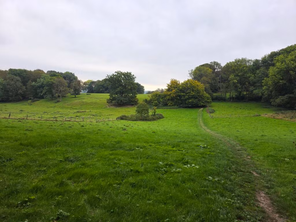 Solo de Dutch Mountain Trail: vier dagen door Limburg 33 dmt dag 3