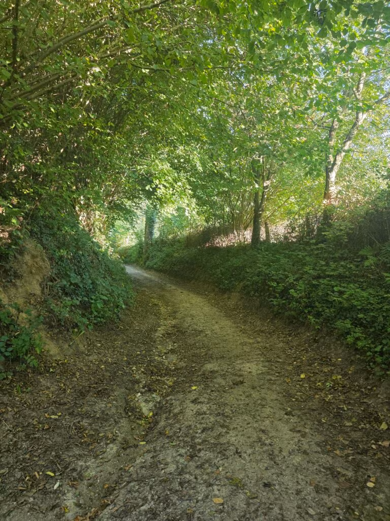 Solo de Dutch Mountain Trail: vier dagen door Limburg 43 dmt dag 4 2