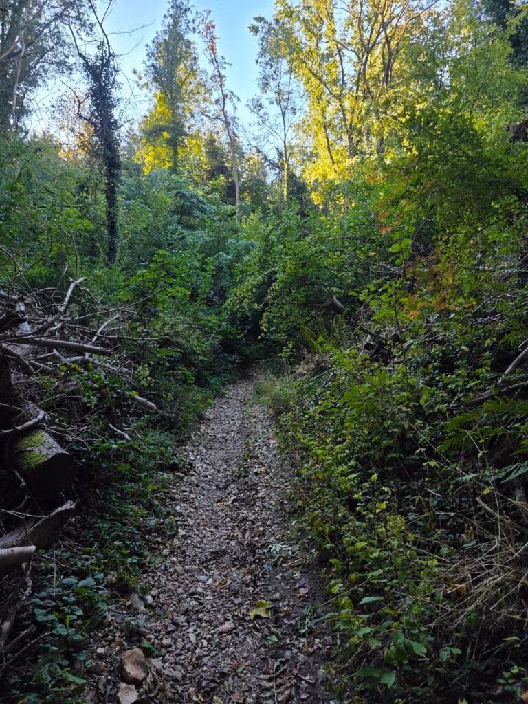 Solo de Dutch Mountain Trail: vier dagen door Limburg 42 dmt dag 4 3