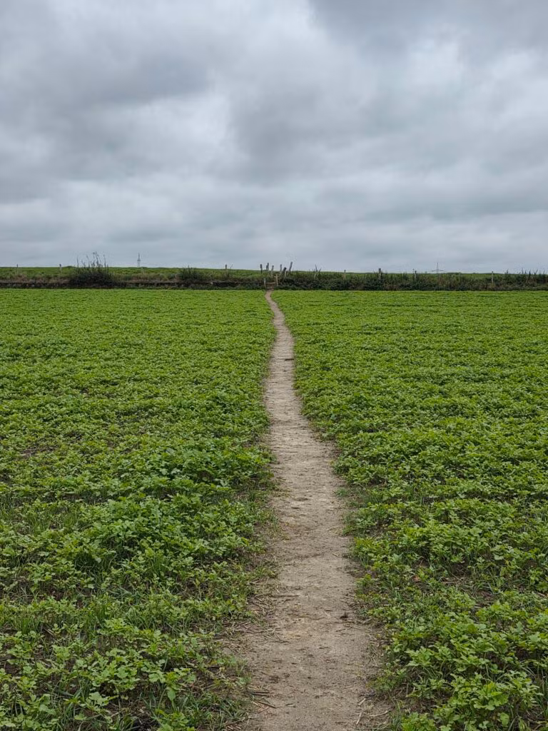 Solo de Dutch Mountain Trail: vier dagen door Limburg 21 dmt dag1 6