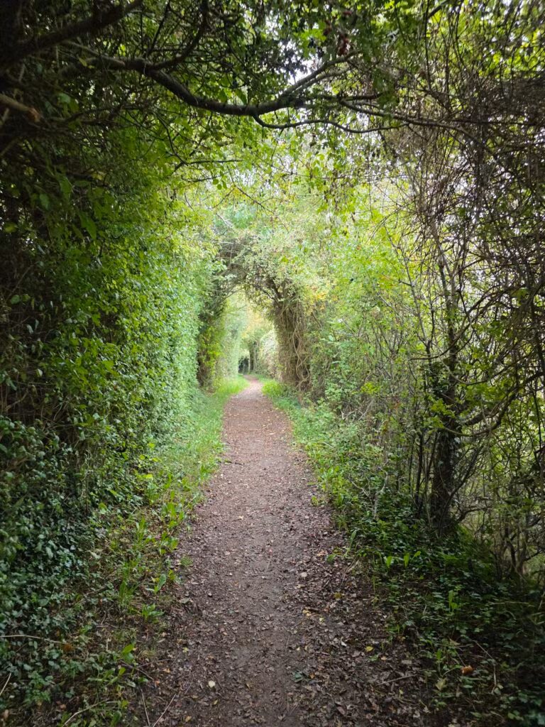 Solo de Dutch Mountain Trail: vier dagen door Limburg 20 dmt dag1 7