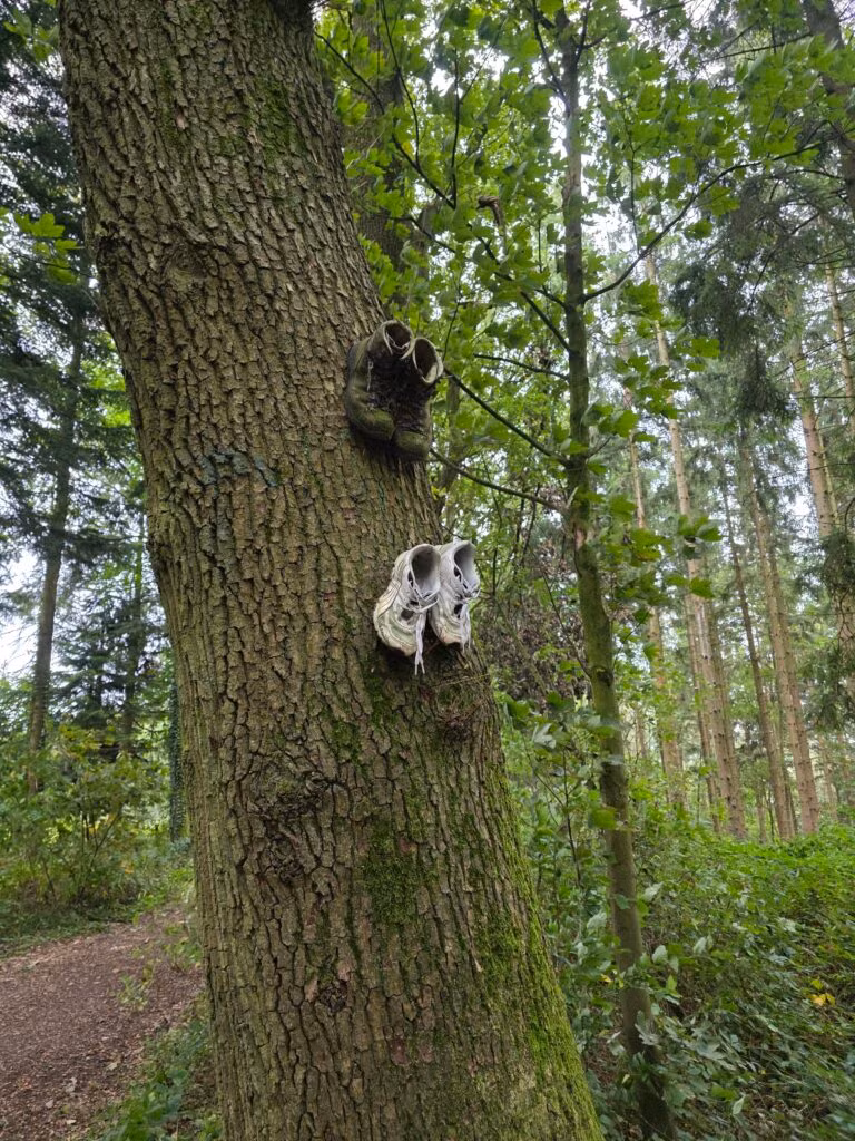 Solo de Dutch Mountain Trail: vier dagen door Limburg 22 dmt dag1 8