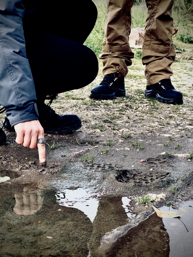 mantracking tijdens wandelen 3