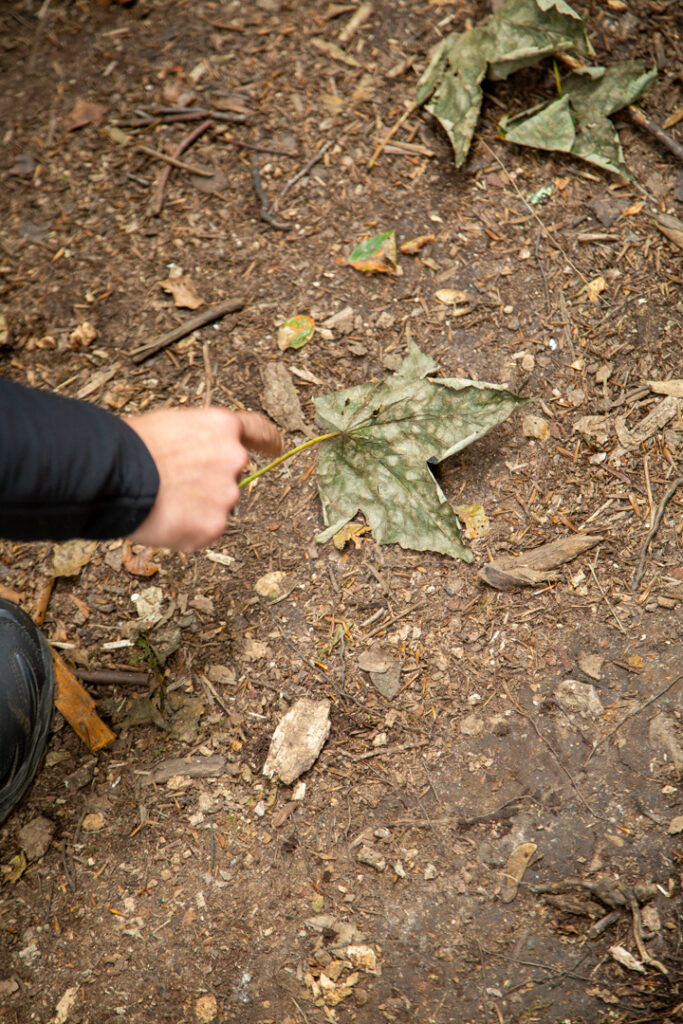 mantracking tijdens wandelen