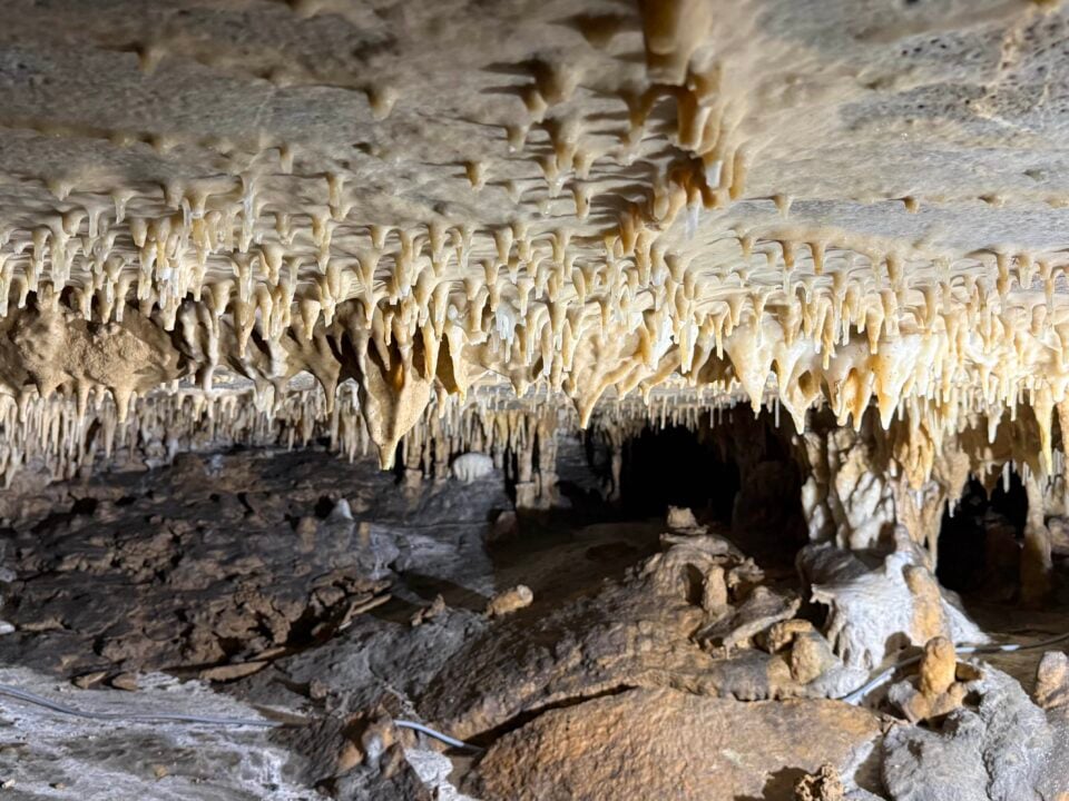 Review Grotten du Pont d’Arcole 1 Kalkstenen grot met dichte rijen stalactieten aan het plafond