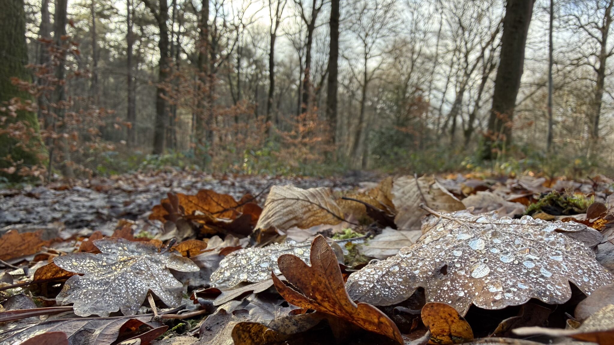 Adembenemend uitzicht in de omgeving van Resort Namur Nature