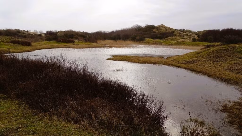 Wandelroute van de maand: Meijendel en Sparregat 17 Meijendel-en-Sparregat-02