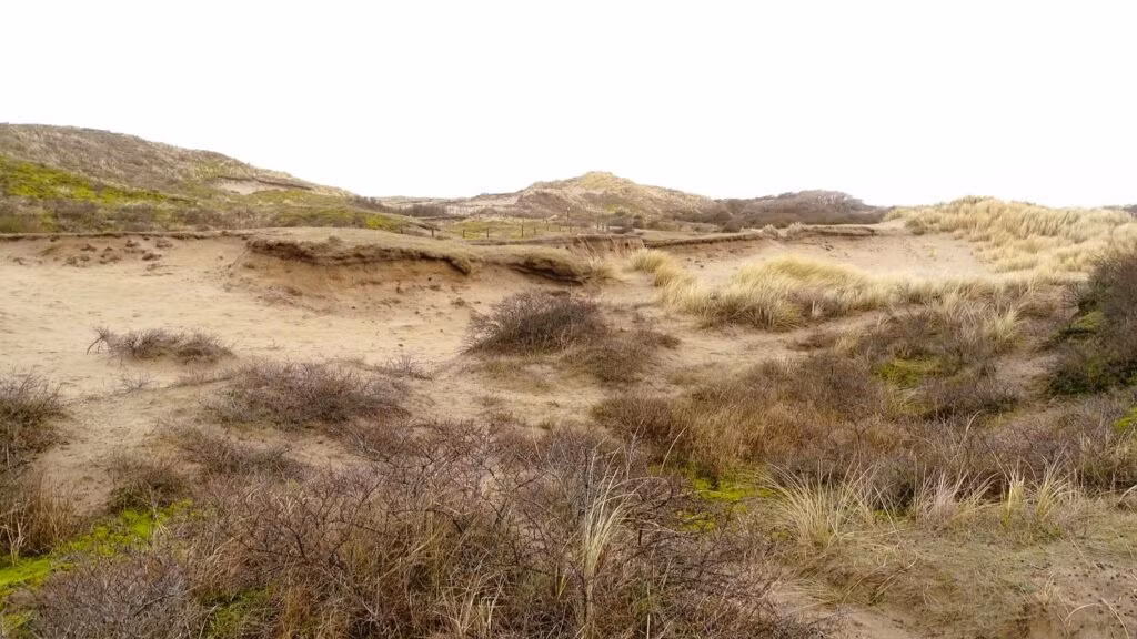 Wandelroute van de maand: Meijendel en Sparregat 22 Meijendel-en-Sparregat-04