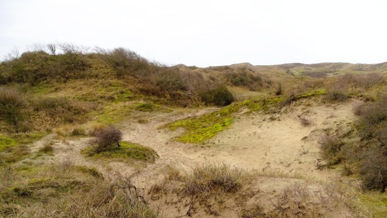 Meijendel-en-Sparregat-08