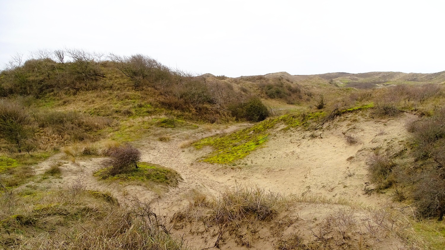 Wandelroute van de maand: Meijendel en Sparregat