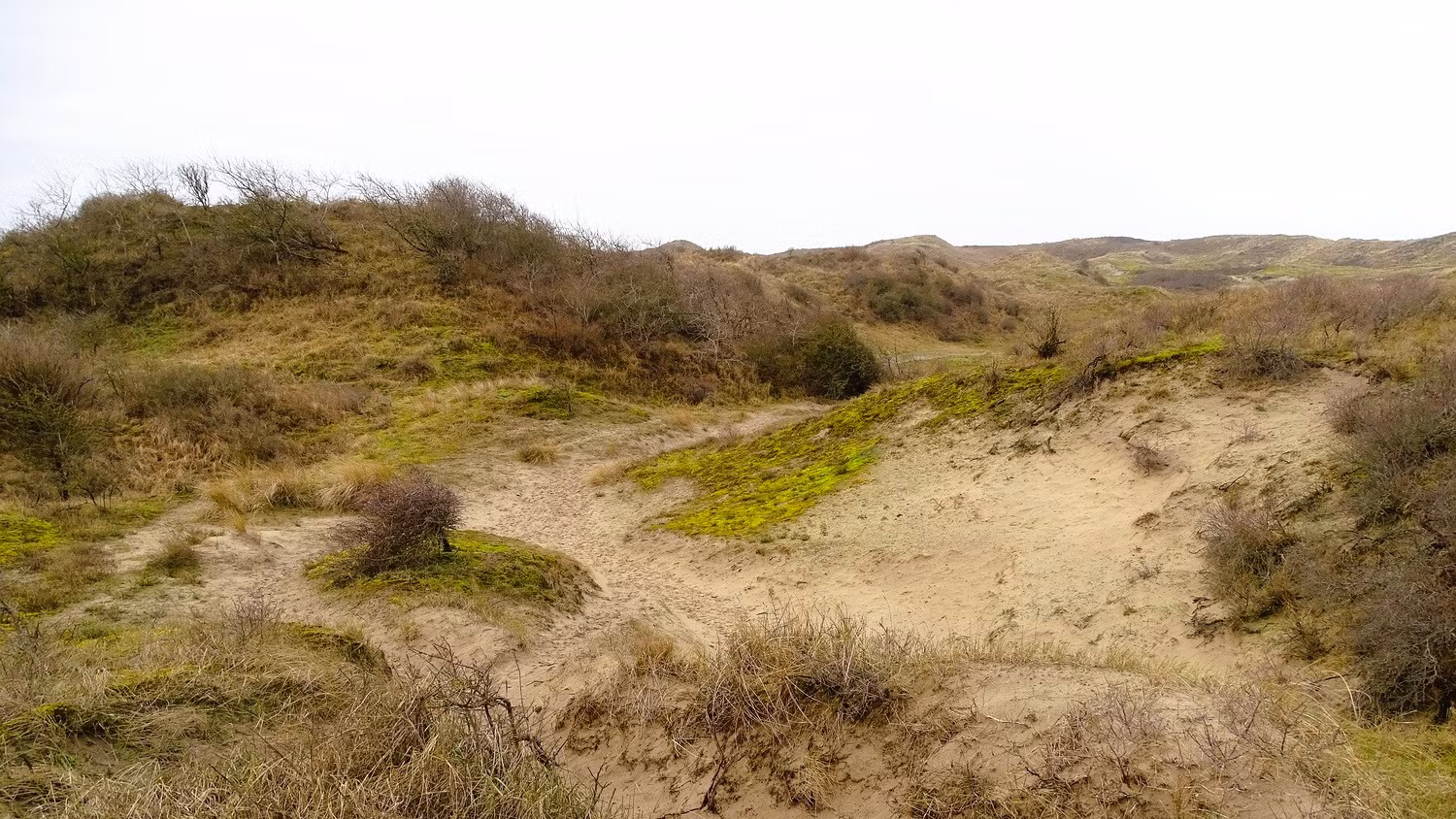 Wandelroute van de maand: Meijendel en Sparregat