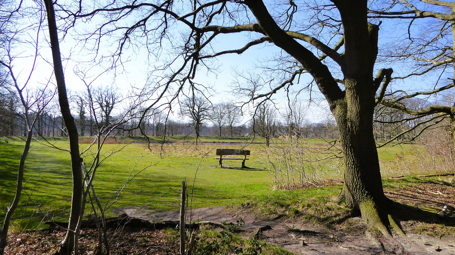 Wandelroute-6-buitenplaatsen-en-een-woud-1