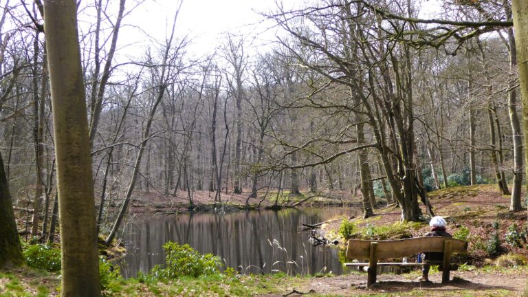 Wandelroute van de maand: 6 buitenplaatsen en een woud