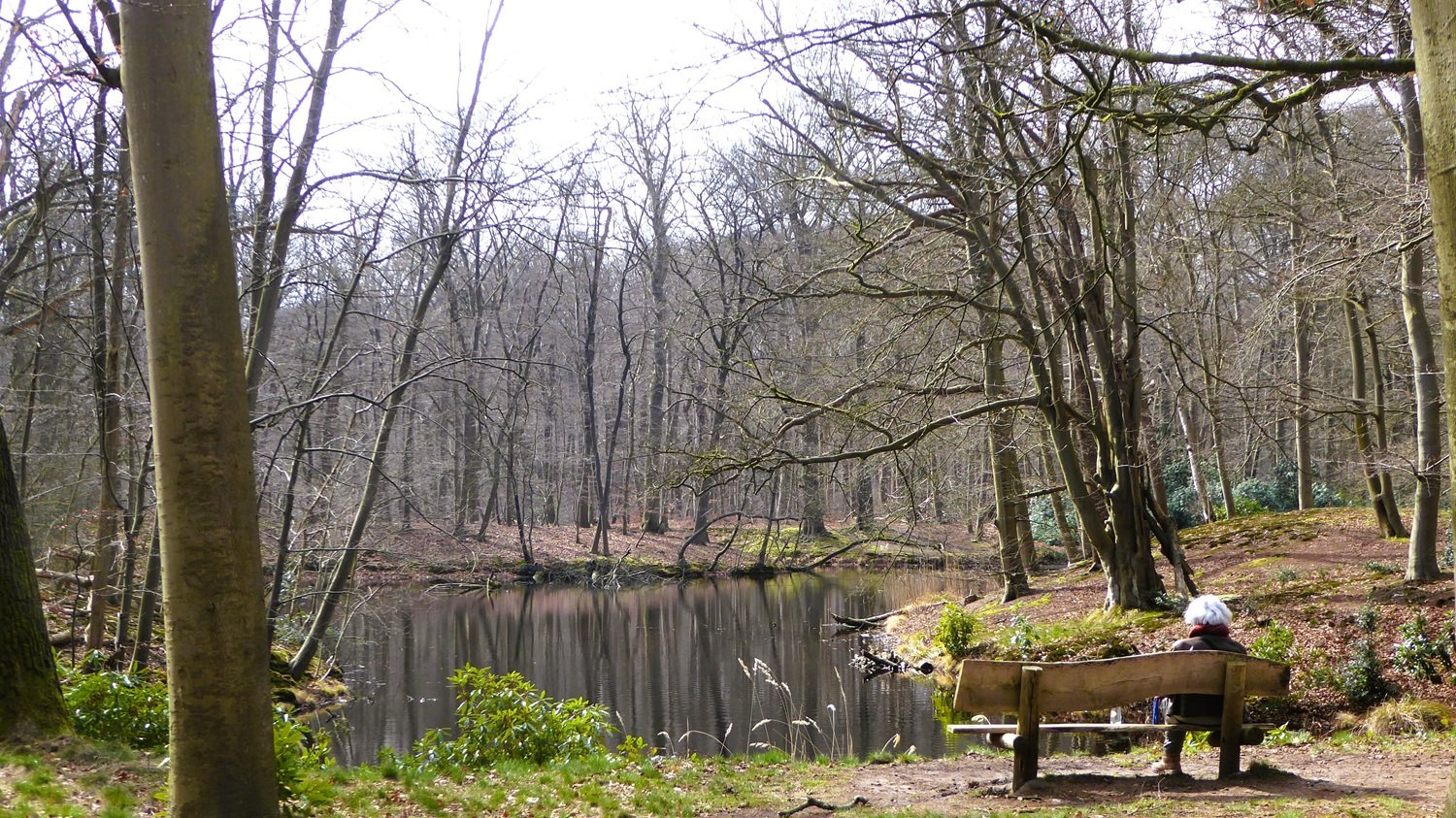 Wandelroute van de maand: 6 buitenplaatsen en een woud