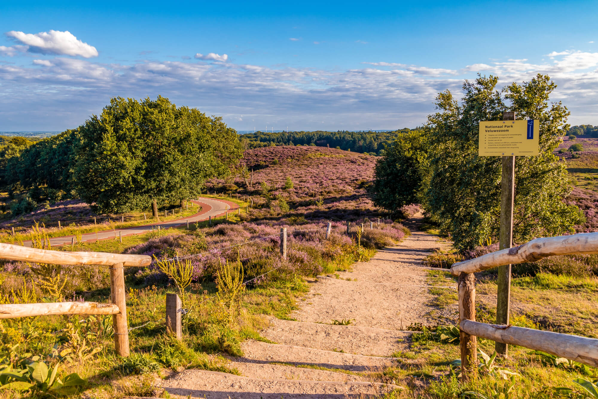 wandelen-op-de-veluwe