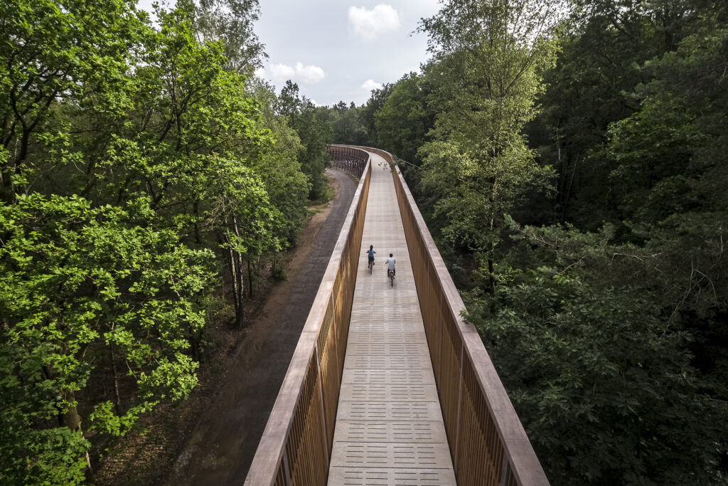 Wandelen in de Hoge Kempen: het enige nationaal park van België 19 ©Frank-Resseler_Visit-Limburg
