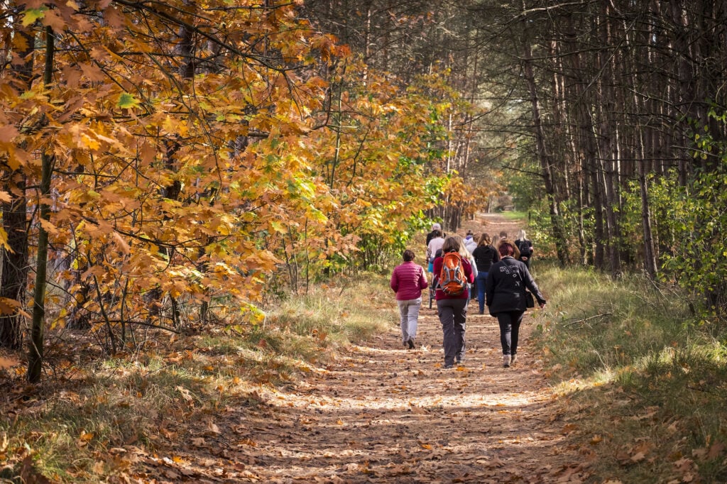 Wandelen in de Hoge Kempen: het enige nationaal park van België 18 Wandelen in de Hoge Kempen