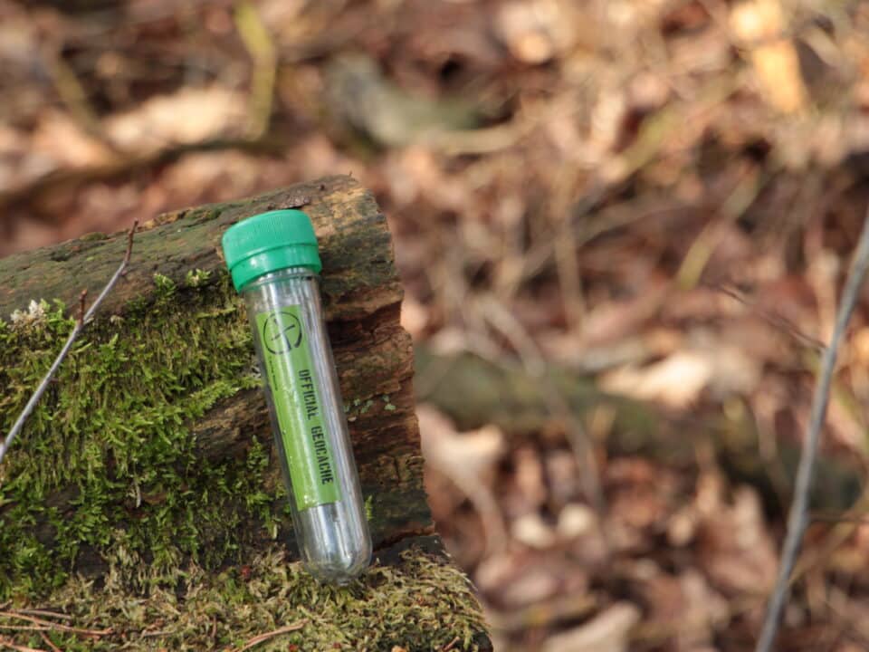 Groene geocache-koker met dop op een met mos bedekte boomstam
