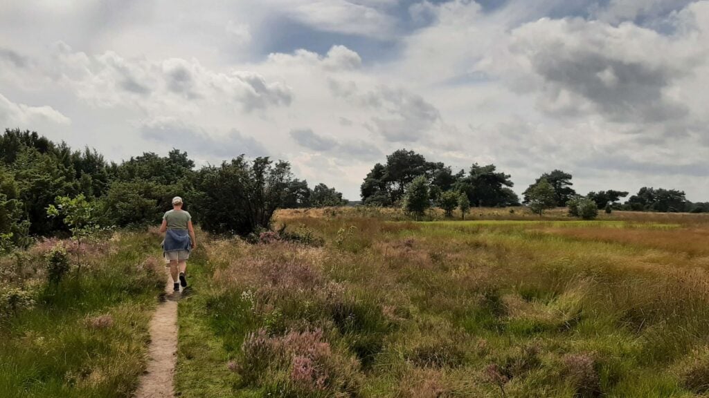 Wandelroute van de maand: De Papeloze Kerk in Drenthe