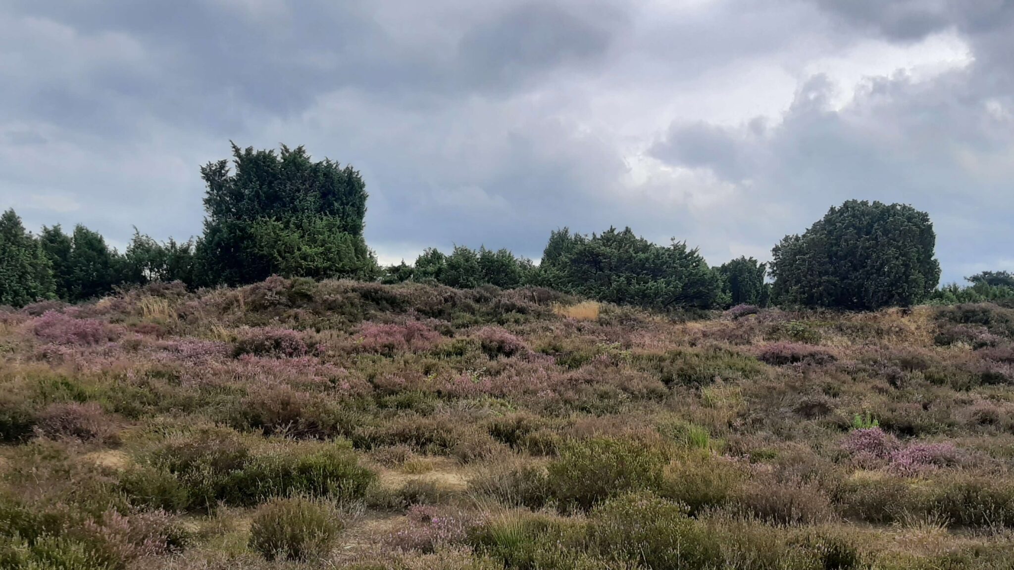Wandelroute van de maand: De Papeloze Kerk in Drenthe 19 papeloze kerk route 7 scaled
