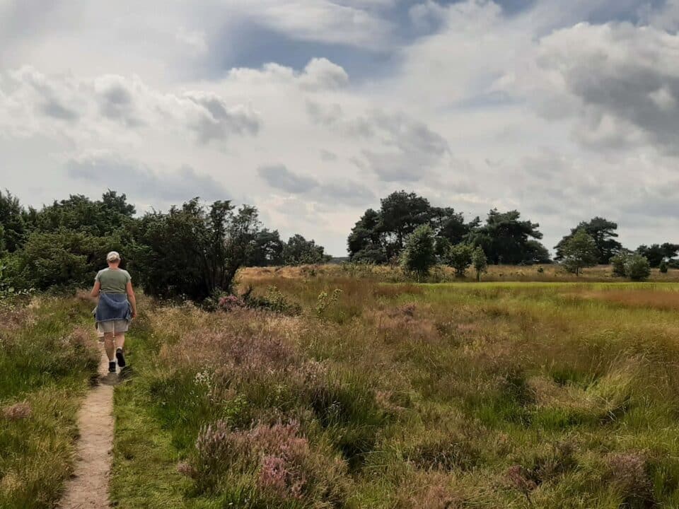 Wandelaar op een smal pad door een heideachtig landschap met gras, struiken en bomen