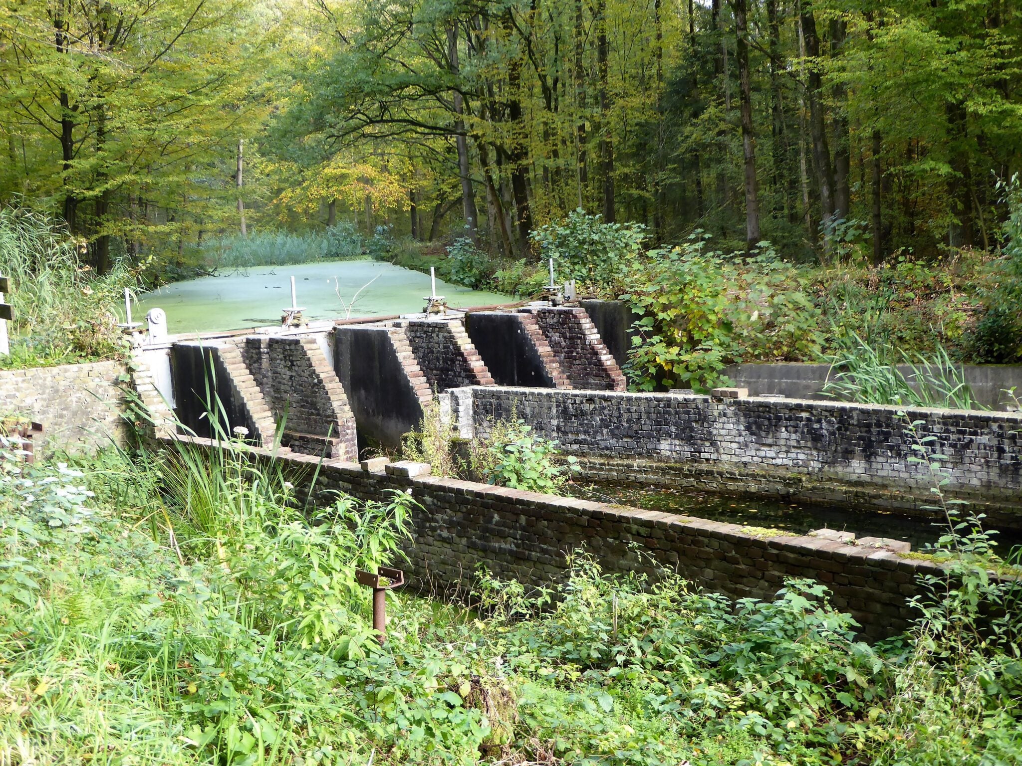 Wandelroute van de maand: slingeren door het Waterloopbos 16 waterloopbos waterwerk scaled