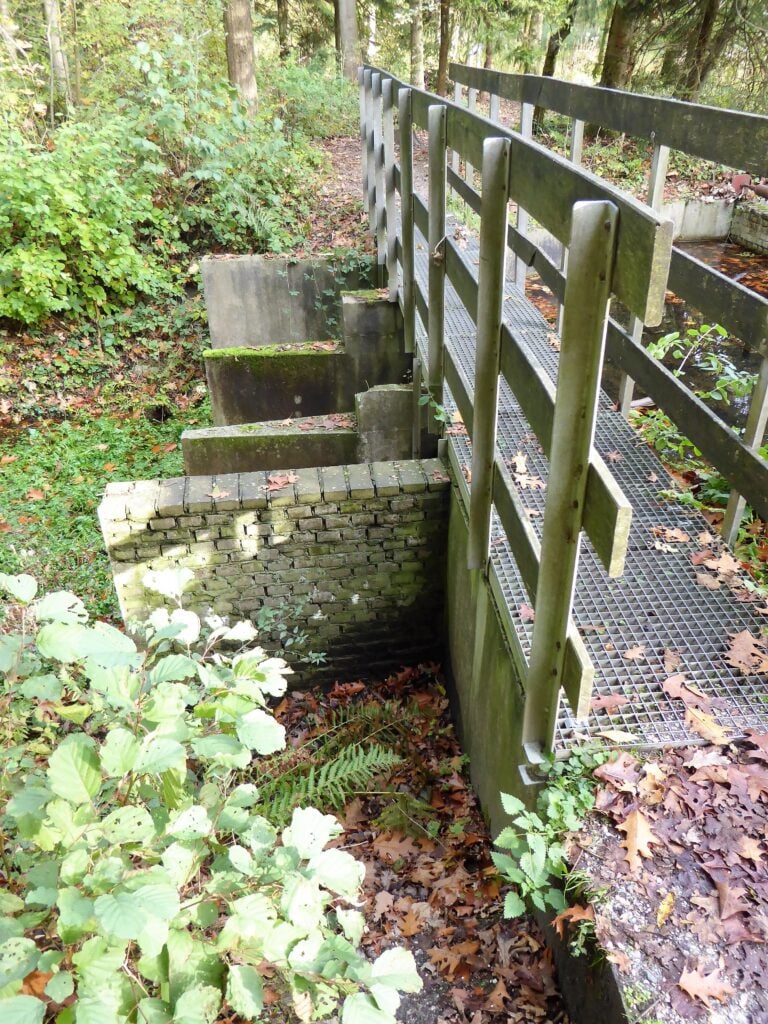 Wandelroute van de maand: slingeren door het Waterloopbos 18 waterloopbos waterwerk2