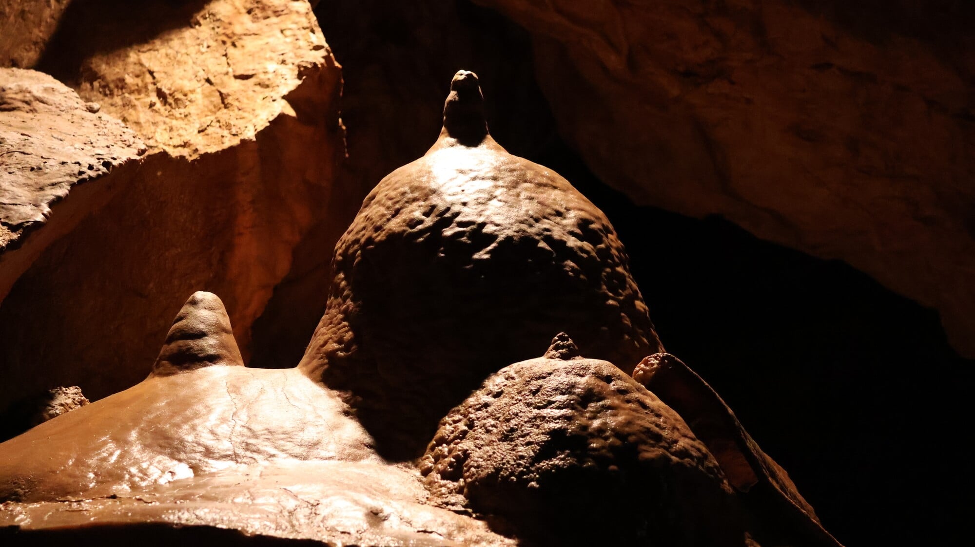 Bozkovské dolomitové jeskyně: de stilte onder de grond in Noord-Bohemen 17 Bozkov-grotten