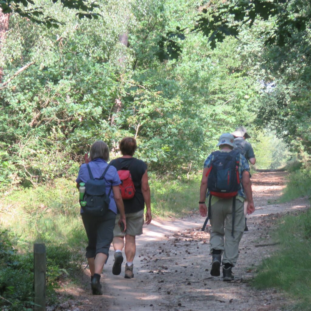 Wandelroute van de maand: Goed te pruimen in Utrecht 20 IMG 0184