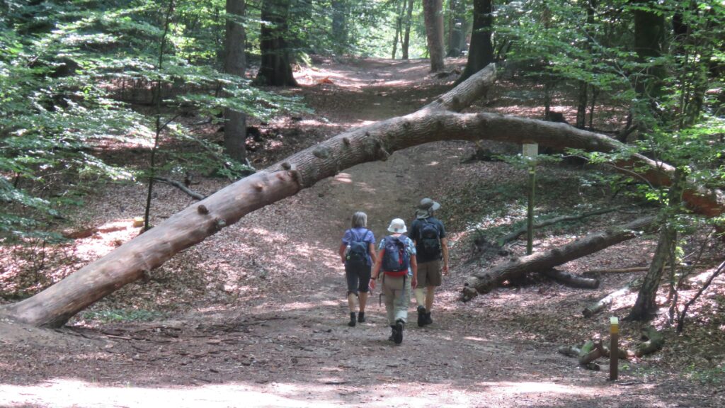 Wandelroute van de maand: Goed te pruimen in Utrecht 19 IMG 0196