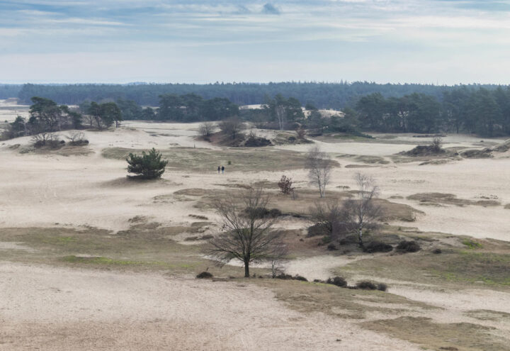 Kootwijkerzand
